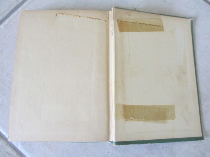 Roman Alice Détective – Caroline Quine - photo numéro 6