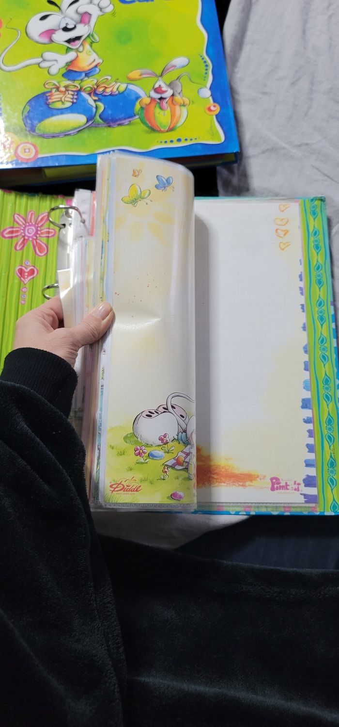 Classeur diddl - photo numéro 2