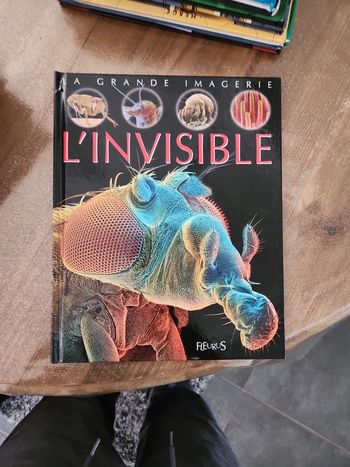 Livre enfant : L'invisible