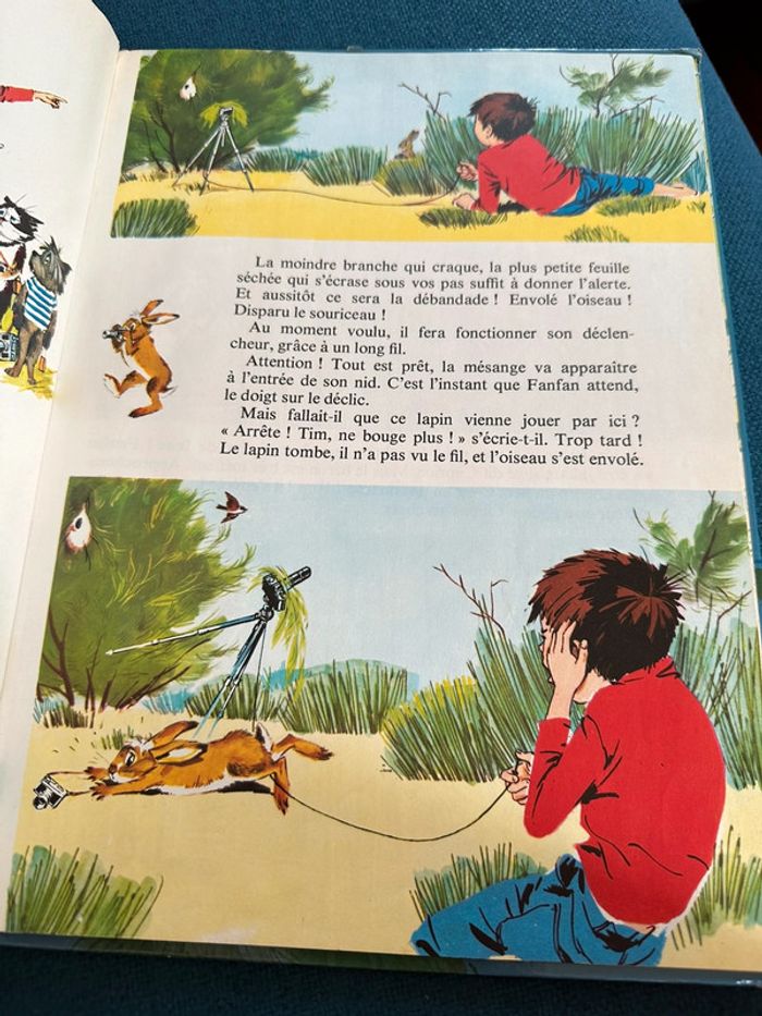 1970 Livre ancien Fanfan et l’Ours de Camargue Pierre Probst auteur Caroline grand album - photo numéro 4