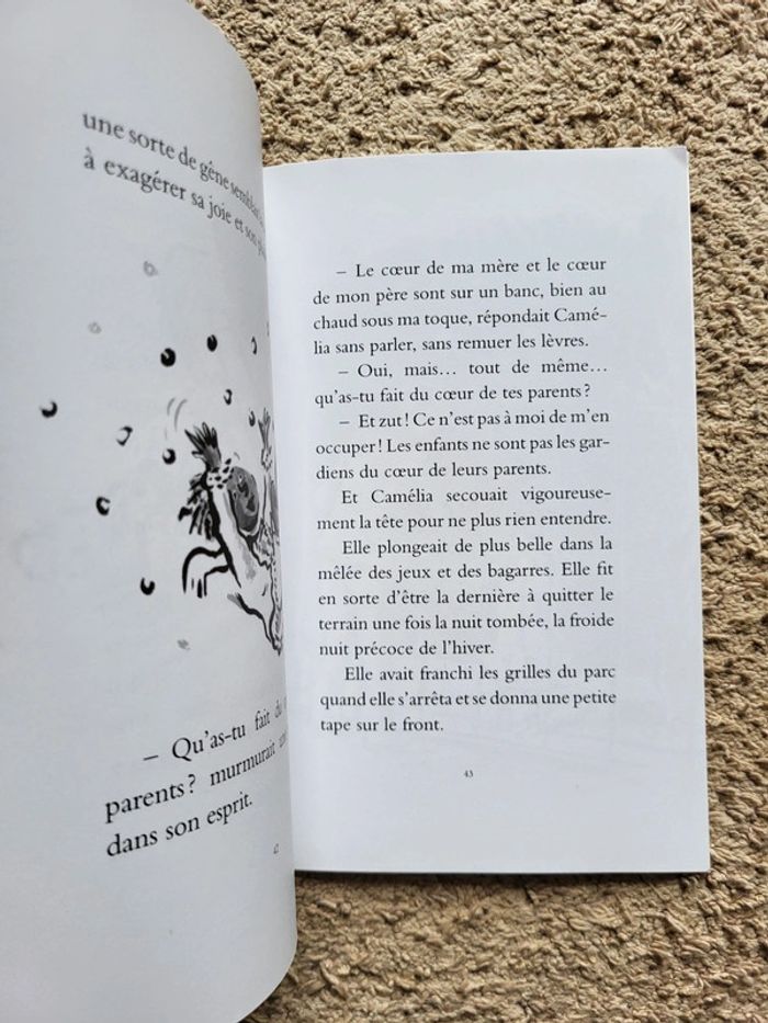 Le Souhait de Marie NDiaye – Animax de l'École des Loisirs - photo numéro 7