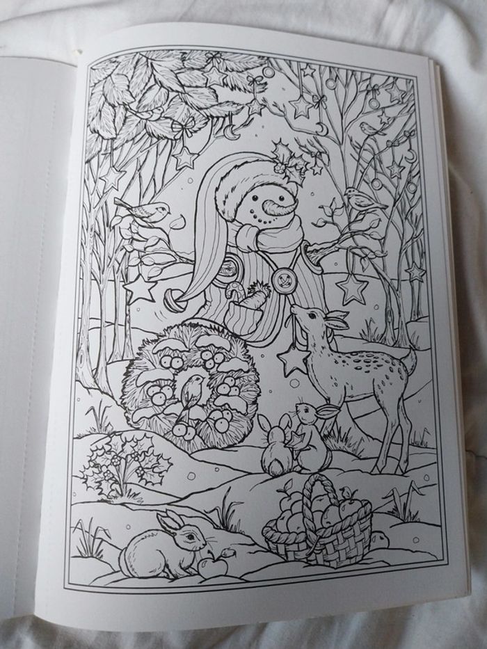 Livre à colorier enchantée christmas de Teresa goodridge - photo numéro 4