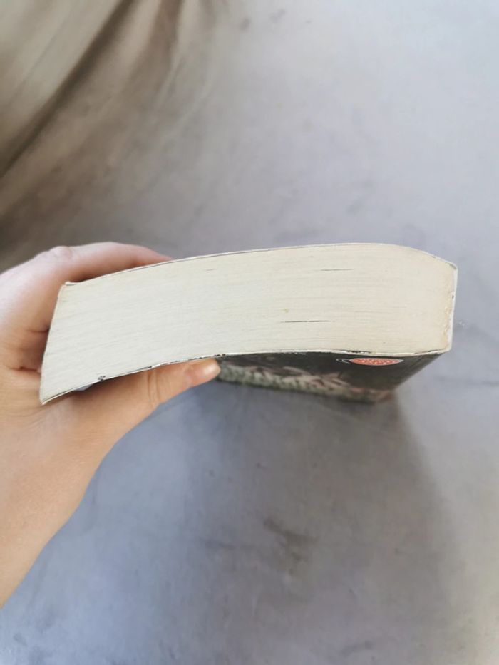 Livre Sublimes créatures - photo numéro 6