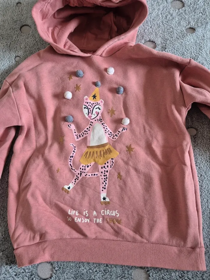 Sweat à capuche 12 ans - photo numéro 2