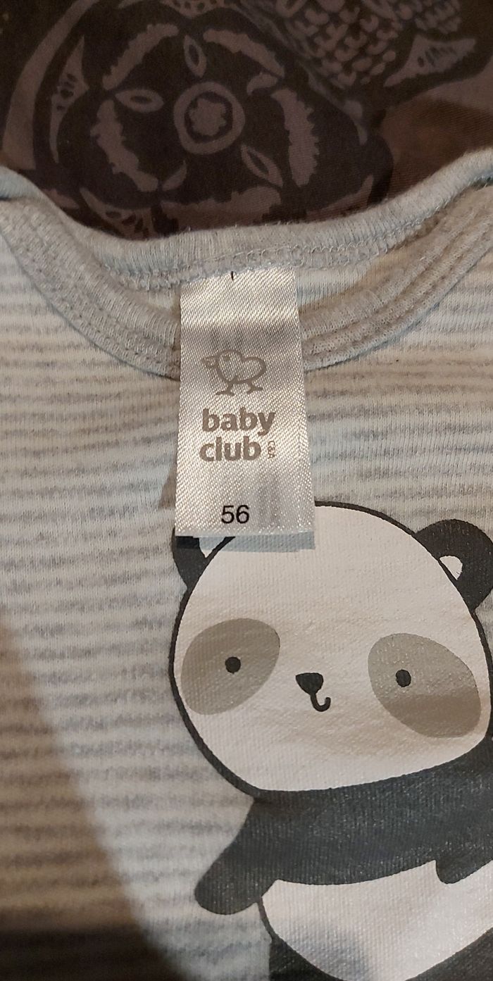 Bodie - photo numéro 2