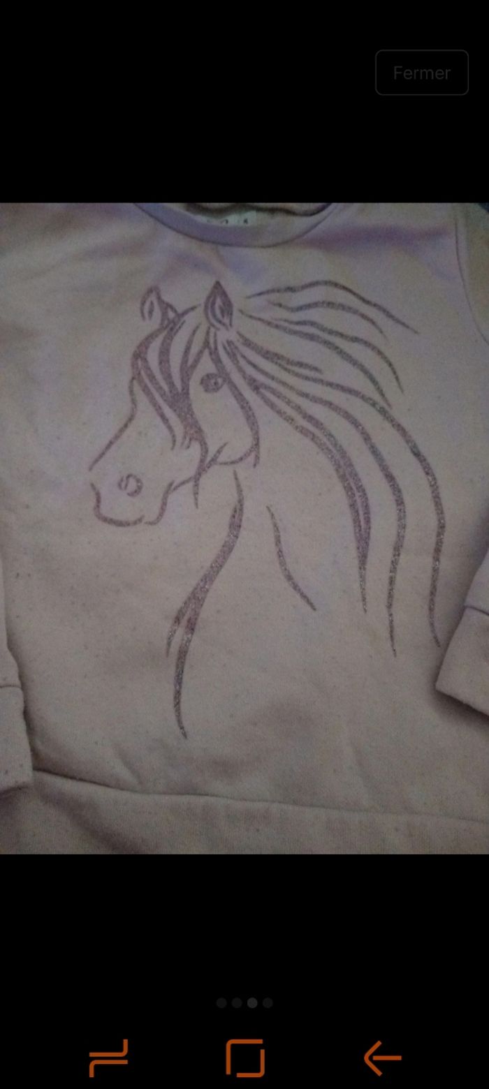 Pull licorne