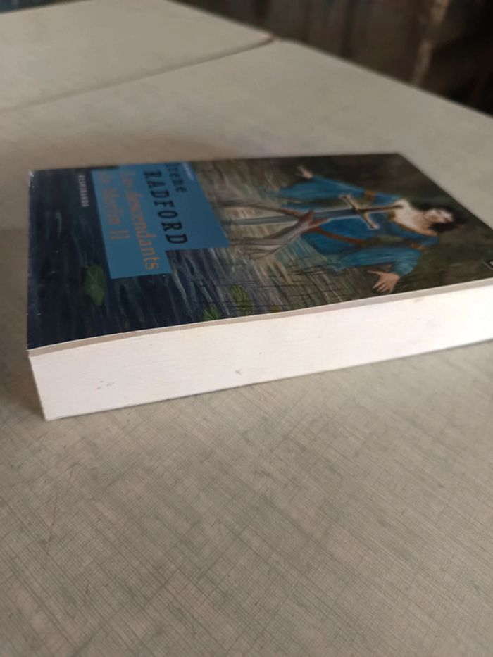 Livre les descendants de merlin 2 resmiranda - photo numéro 3