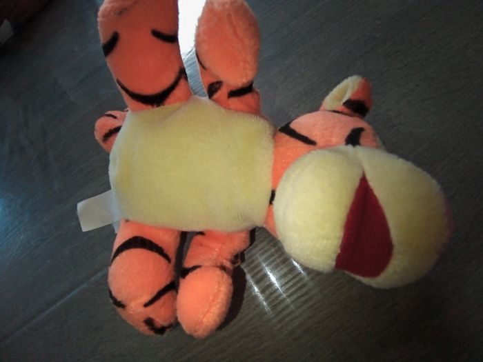 Tigrou avec sac à dos - photo numéro 4