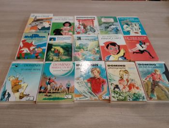 Lot de 15 livres, bibliothèque rose, Domino ect.(5)