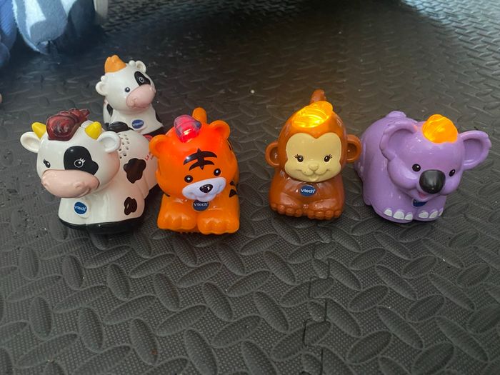 Tut tut animo - photo numéro 5