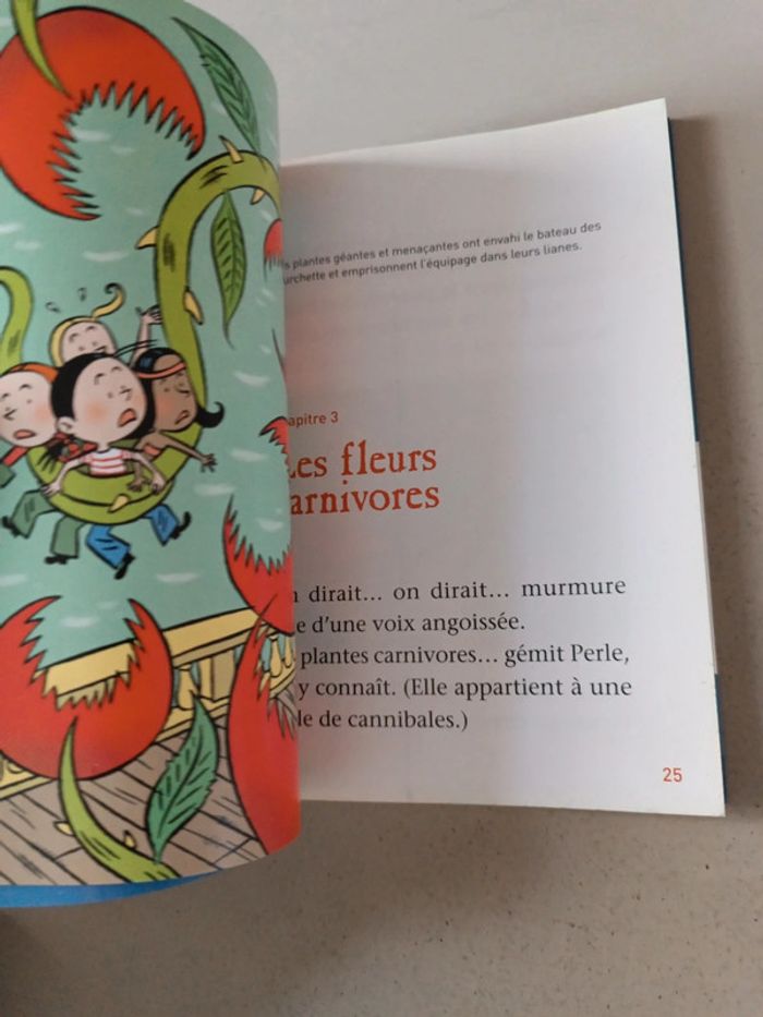Plume le pirate l'attaque des carnivores et le géant des mers - photo numéro 16