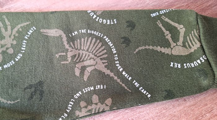 Pull vert dinosaures 2/3 ans Primark - photo numéro 5