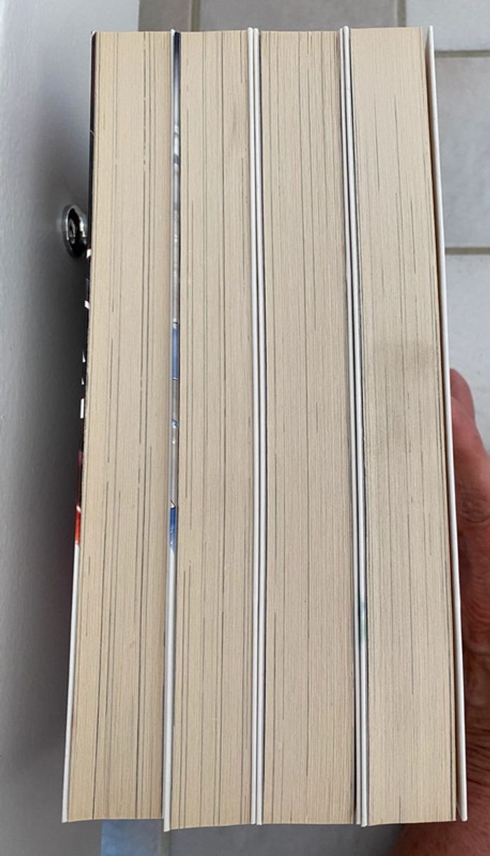 Danmachi La légende des familias tome 1-2-3-4 - photo numéro 5