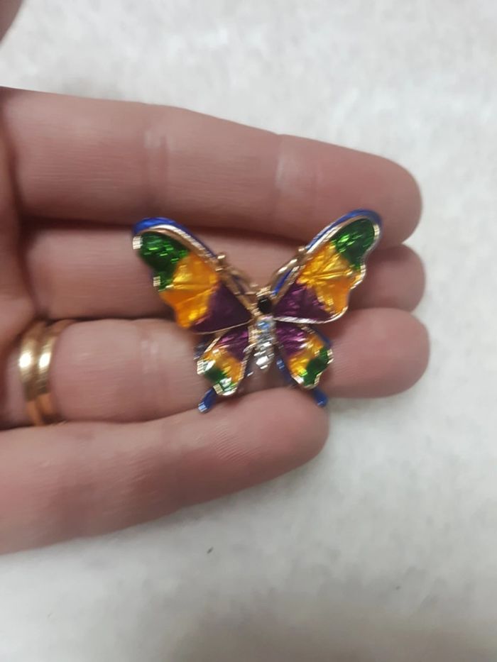 Papillon multicolore