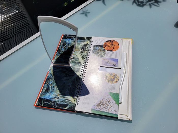 Superbe livre Nature en 3D 🪰 La vie microscopique 🪲 - photo numéro 6