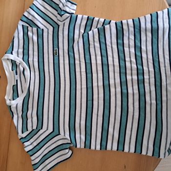 T shirt Lacoste