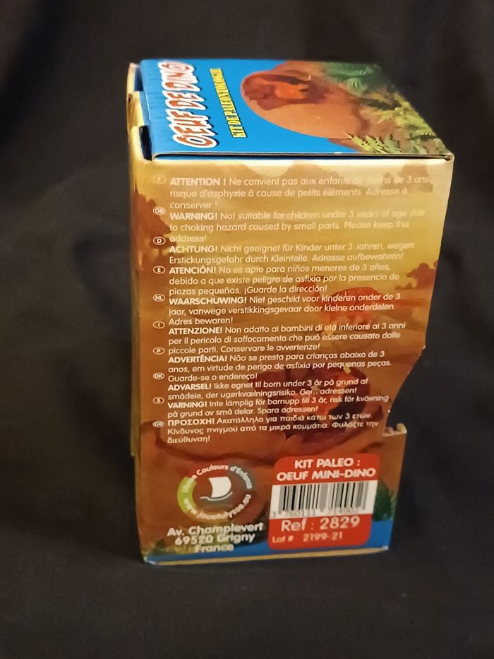 Oeuf de dinosaure - photo numéro 3