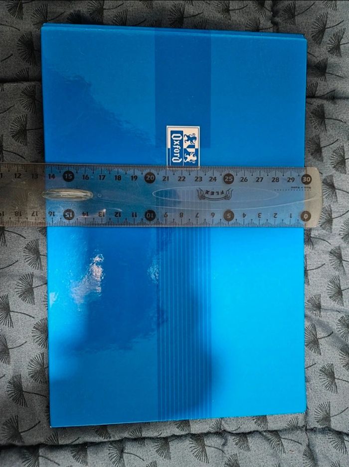 Classeur bleu et ses quelques feuilles oxford - photo numéro 2