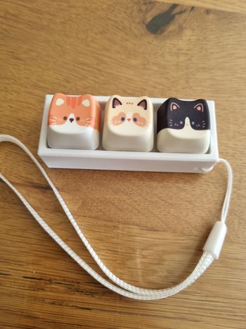 Porte-clé clavier ordinateur " têtes de chats "  Jouet fidget anti-stress / relaxation 