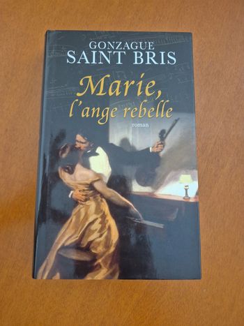 Livre marie l ange rebelle