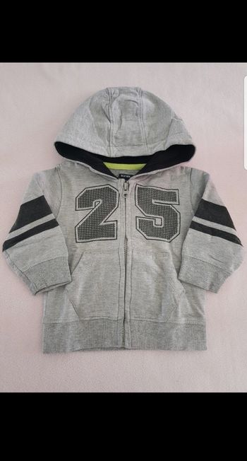 Sweat à capuche zippé enfant garçon 18 mois