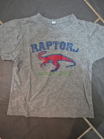 T shirt gris dinosaure