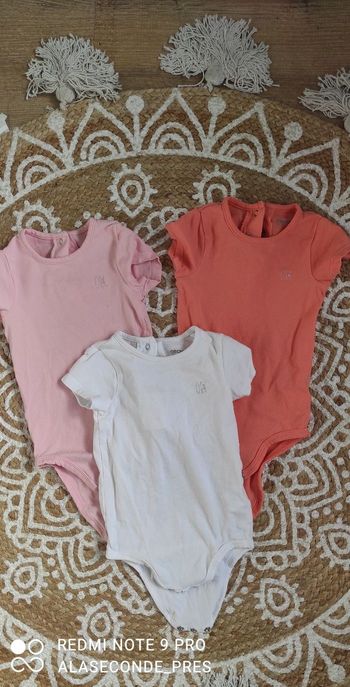 Lot de 3 bodies