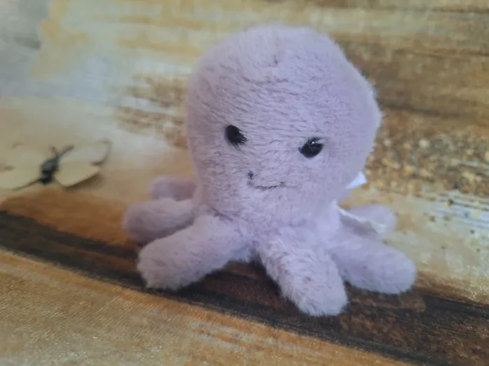 cute fluffy octopus retired - photo numéro 6