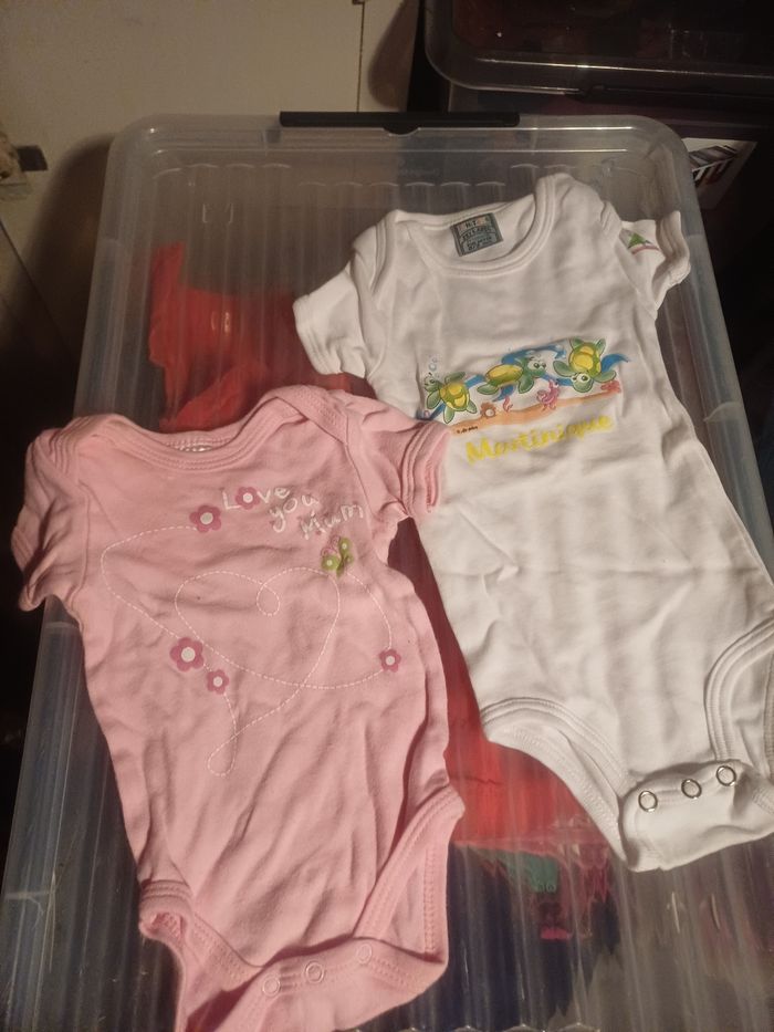 Petit lot de 1 mois - photo numéro 3