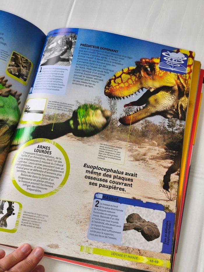 Les dinosaures en action - photo numéro 2