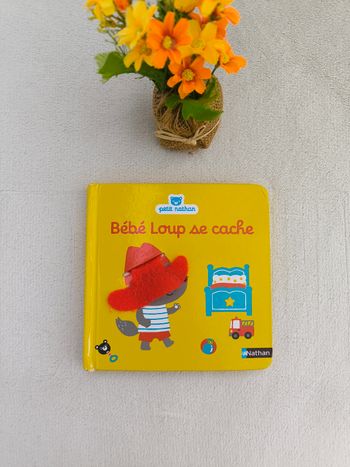 Livre Bébé loup se cache Petit Nathan