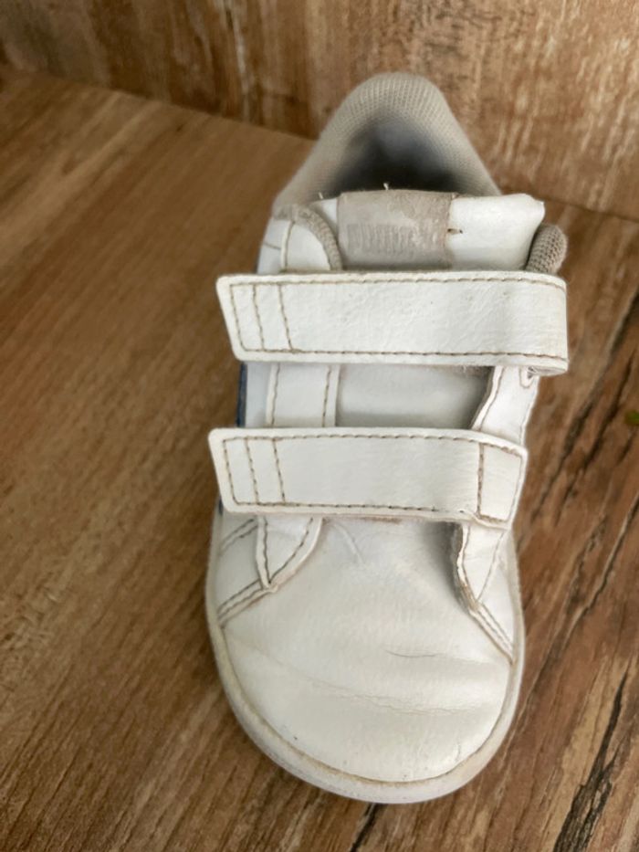 Puma taille 25 - photo numéro 5