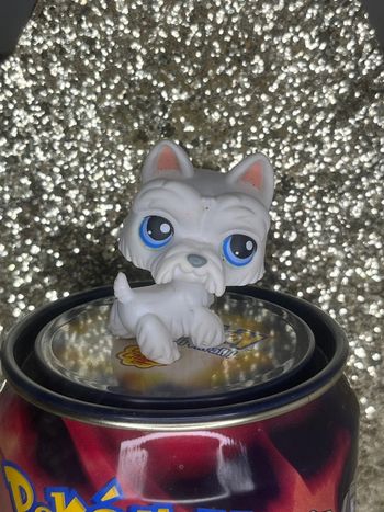 Littlest pet shop #24 westie scottie terrier