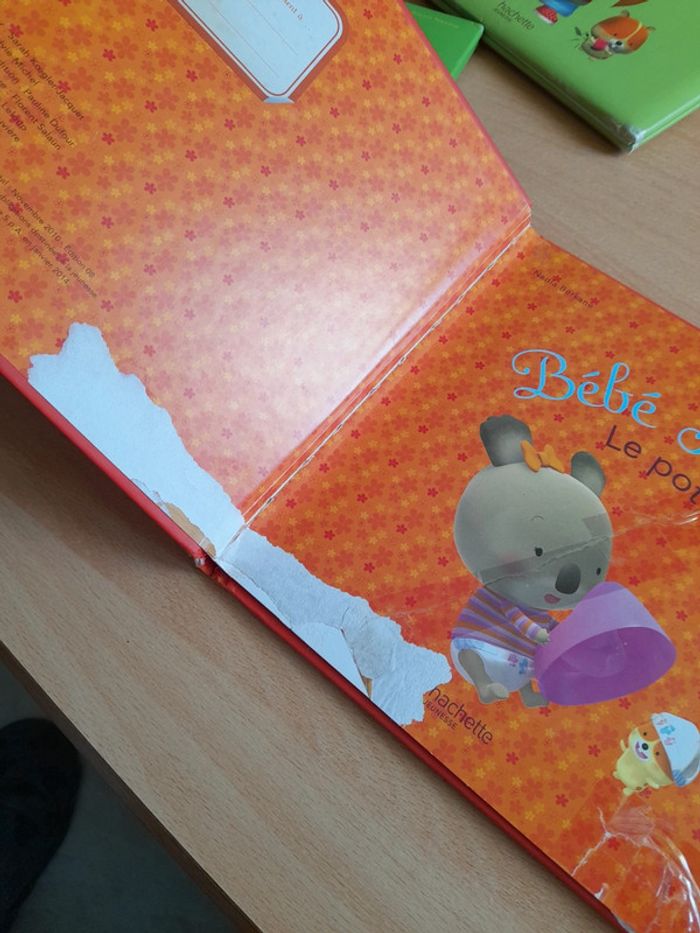 Bébé Koala - photo numéro 3