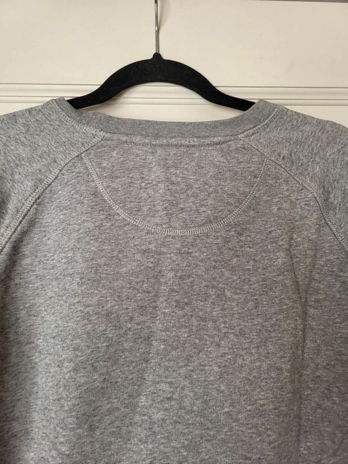 Sweat gris Le fabuleux Shaman "Dragueur de bourgeoises" - photo numéro 5