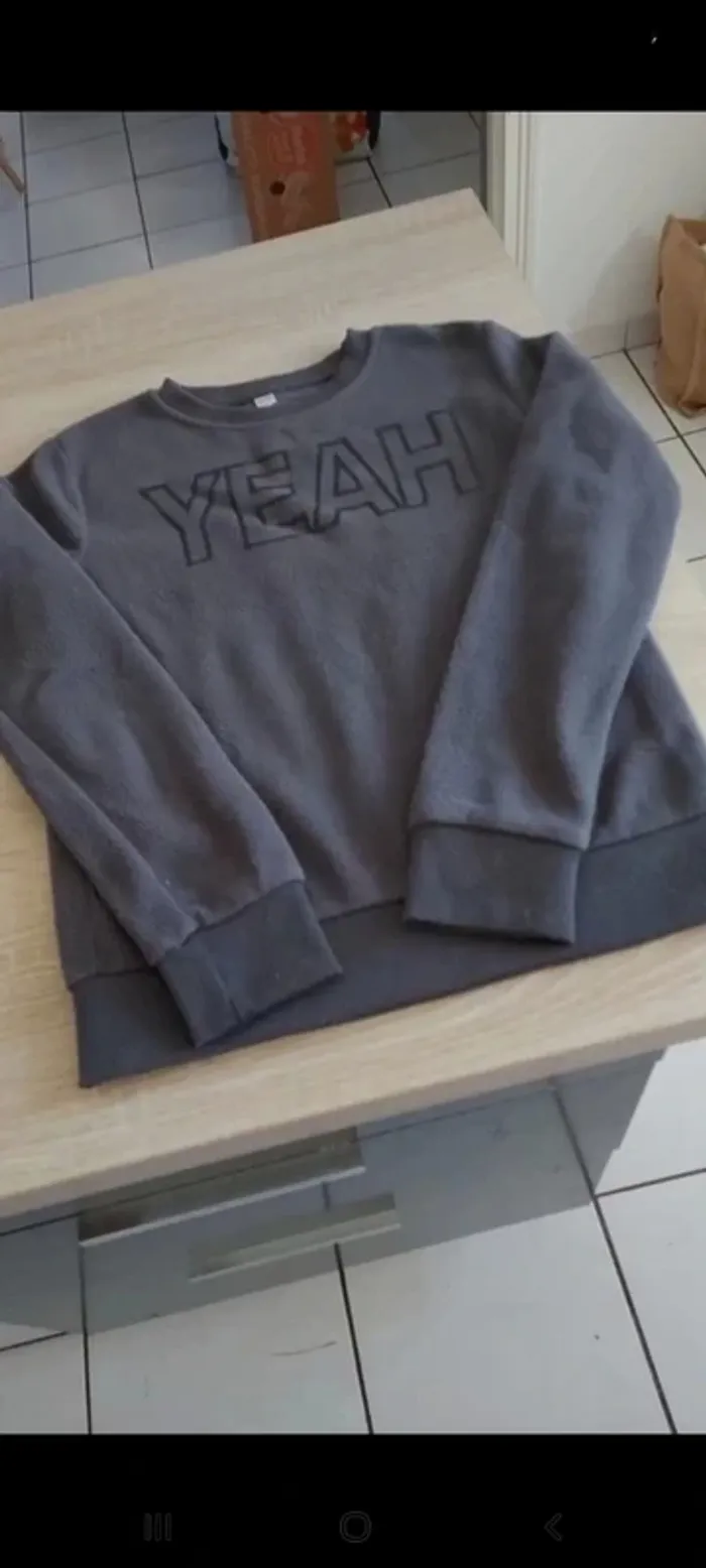 Pull polaire