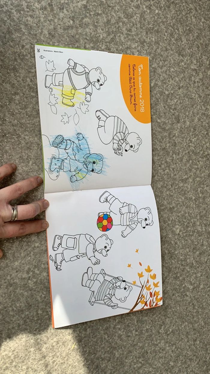 Album coloriage petit ours brun - photo numéro 5