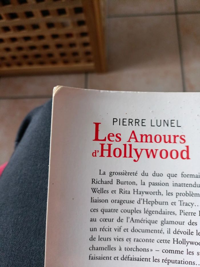 Les amours d Hollywood - photo numéro 3