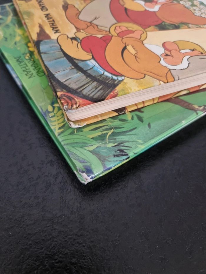 Lot de 2 livres anciens Disney - photo numéro 8