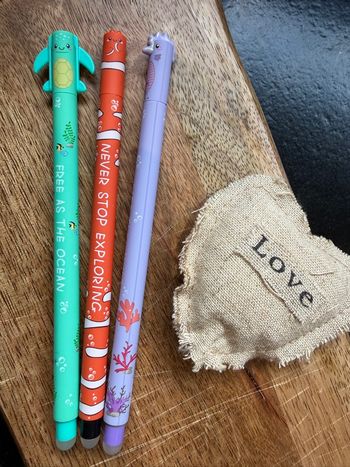 Magnifique stylos effaçables style Legami passion kawai 