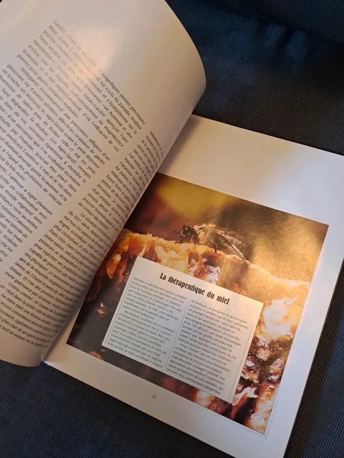 Livre "le don de guerir" - photo numéro 2