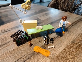 Lot vétérinaire et animaux domestiques Playmobil