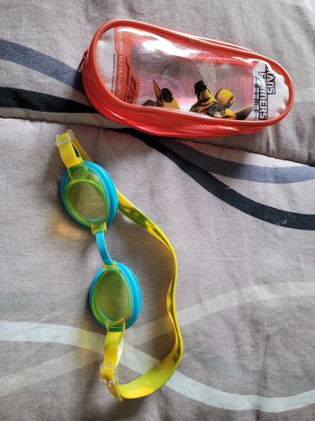 lunette piscine (1e)