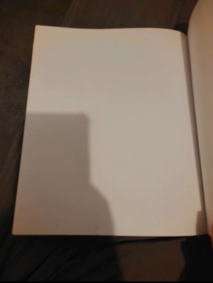 Gros livre Da vinci code - photo numéro 10