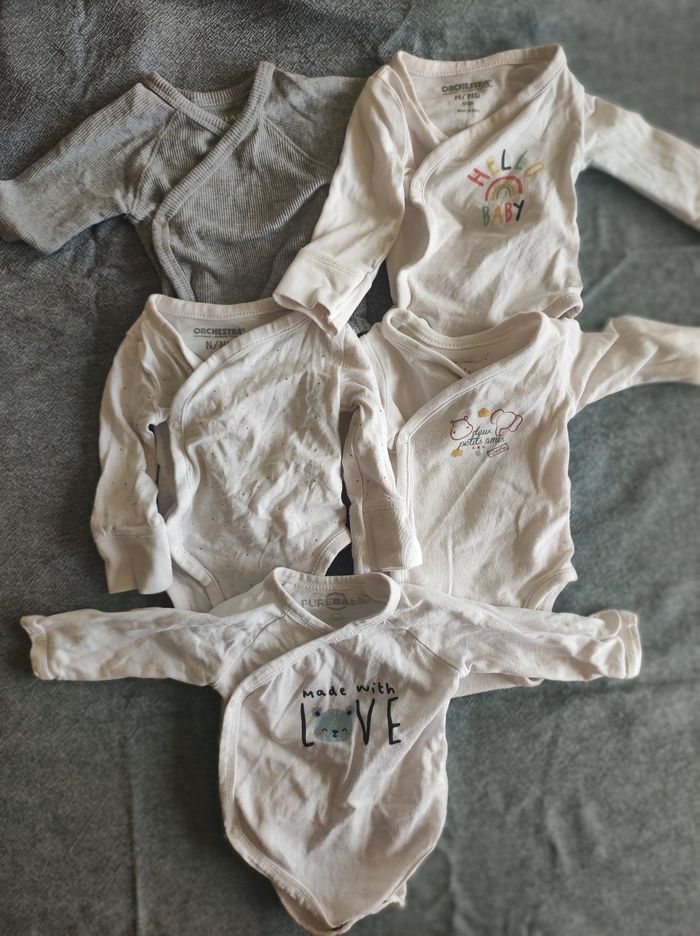 Lot 5 bodies