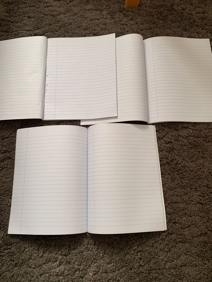 Lot de 3 cahiers - photo numéro 3