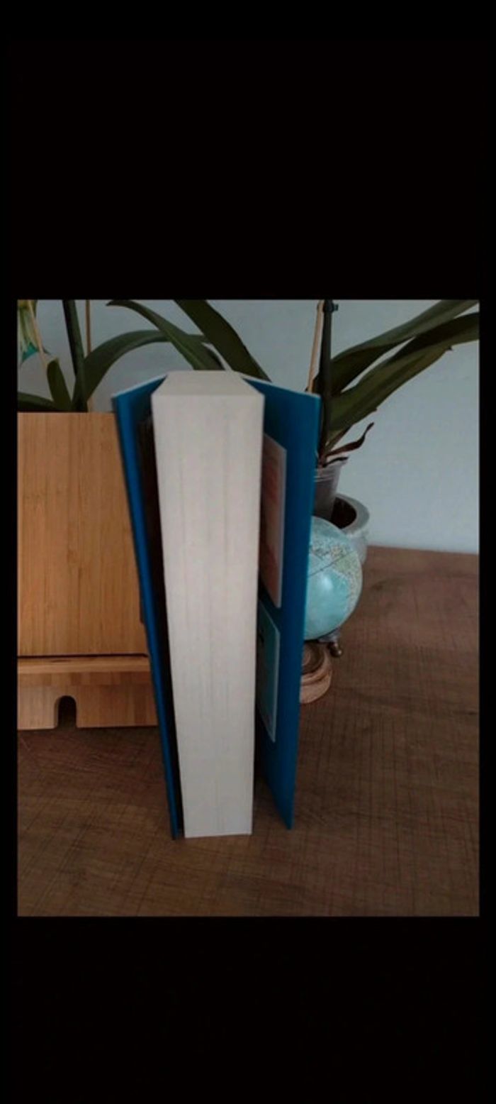 📚Anatomie d'un scandale de Sarah Vaughan - photo numéro 3