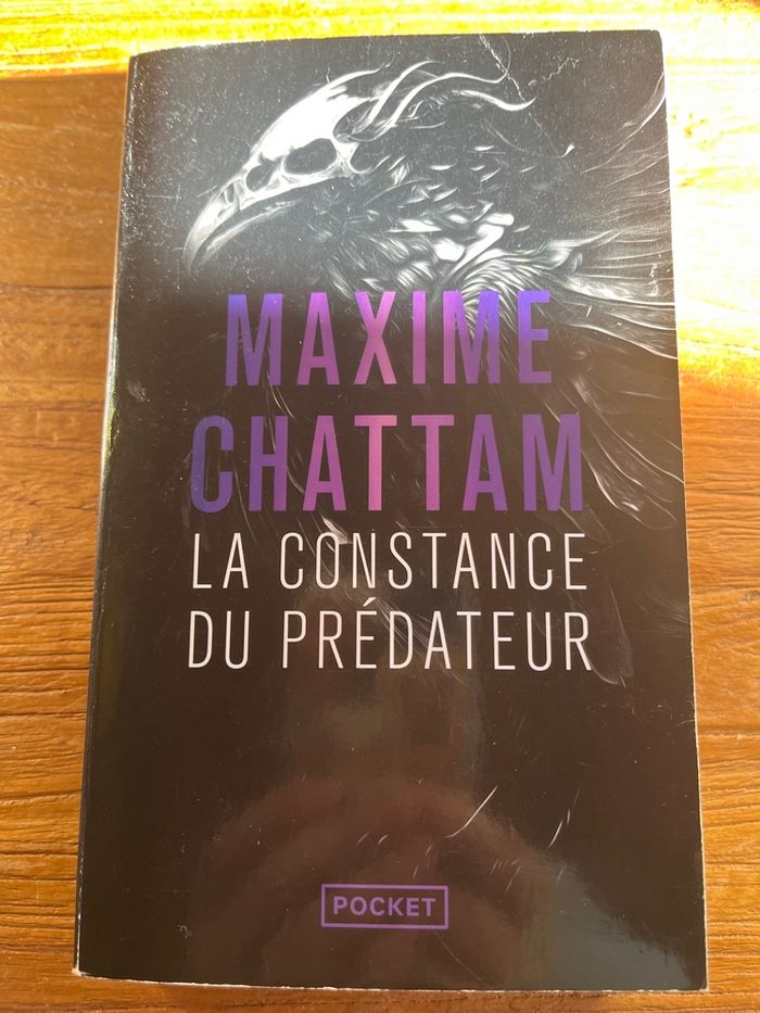 Maxime Chattam