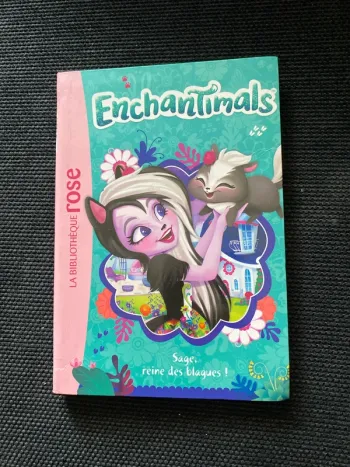 Livre enchantimals