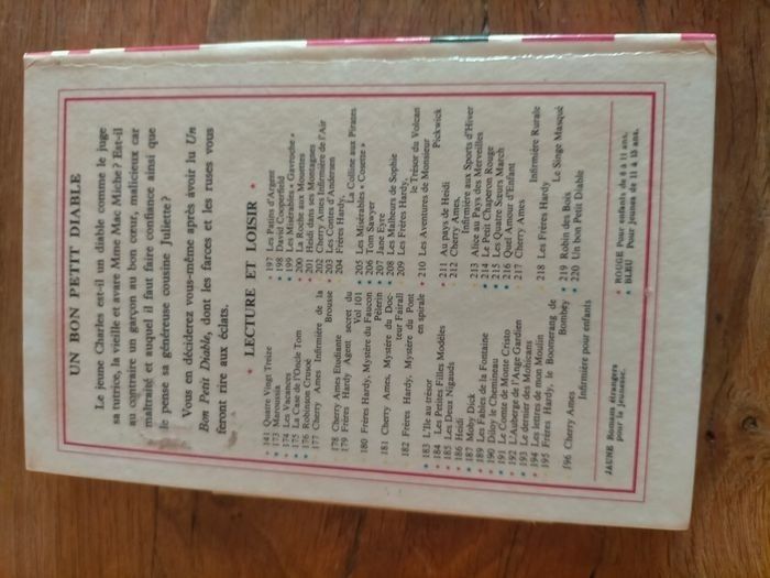 Un bon petit diable - photo numéro 2